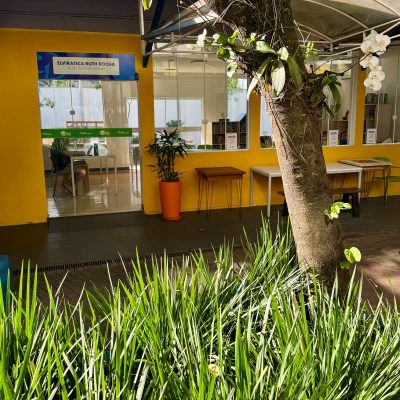 Colegio Elvira Brandão - Chácara